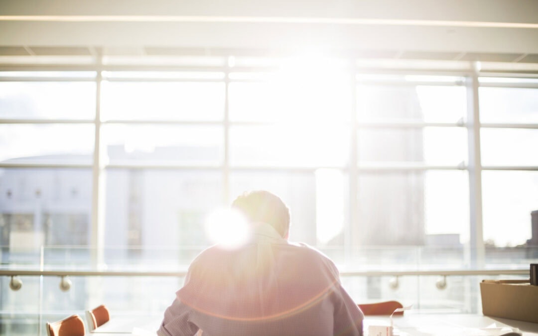 Person seated at a desk in a bright office, back to camera, sunlight streaming through large windows.