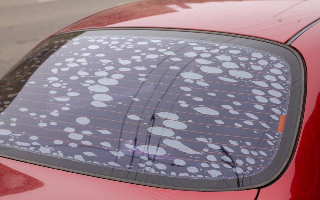 Why Window Tint Fails & How to Avoid It